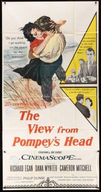 4s856 VIEW FROM POMPEY'S HEAD 3sh '55 Dana Wynter accidentally finds out her husband's a Negro!
