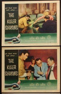 4w441 KILLER SHREWS 6 LCs '59 Ingrid Goude, James Best, great sci-fi/horror border art!