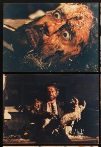 4x349 EYE OF THE EVIL DEAD 15 color Dutch 8x11 stills '82 Lucio Fulci's Manhattan Baby, gruesome!
