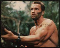4z081 PREDATOR color jumbo still '87 Arnold Schwarzenegger w/gun, sci-fi action!