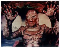 5a850 RICOU BROWNING signed color 8x10 REPRO still '00s as The Creature from the Black Lagoon!