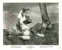 5a622 RODDY MCDOWALL signed 8x10 still R71 c/u with the classic canine in Lassie Come Home!