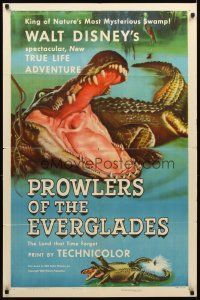 5c607 PROWLERS OF THE EVERGLADES style A 1sh '53 Disne's spectacular True Life alligator adventure!