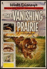 5c929 VANISHING PRAIRIE style A 1sh '54 Disney True-Life Adventure, cool art of stampeding buffalo!