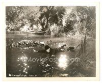5d339 DUCKING THEY DID GO 8x10 still '39 wacky image of Curly swimming in pond, Three Stooges!
