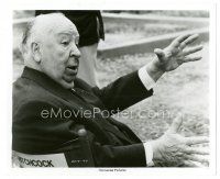 5d360 FAMILY PLOT candid 8x10 still '76 wonderful close up of director Alfred Hitchcock on the set!