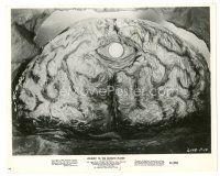 5d531 JOURNEY TO THE SEVENTH PLANET 8x10 still '61 wild c/u of wacky brain monster with giant eye!