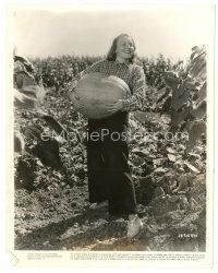 5d853 SLIGHT CASE OF MURDER candid 8x10 still '38 great c/u of Jane Bryan carrying a giant pumpkin!