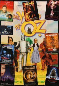 5e178 LOT OF 21 UNFOLDED VIDEO ONE-SHEETS '79 - '99 Wizard of Oz R99, Wolf & more!