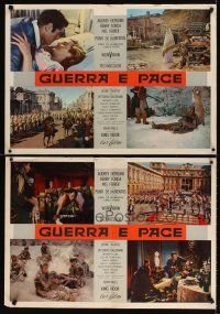 5f648 WAR & PEACE set of 16 Italian photobustas '56 Audrey Hepburn, Henry Fonda & Mel Ferrer!