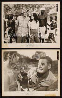 5g831 ROOTS OF HEAVEN 2 8x10 stills '58 John Huston directed, Errol Flynn & Julie Greco in Africa!