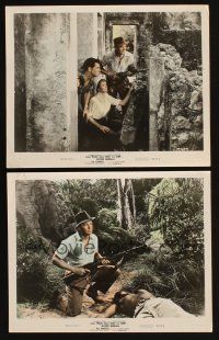 5g184 BEYOND MOMBASA 2 color 8x10 stills '57 Cornel Wilde & Donna Reed in the African jungle!