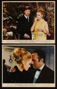 5g193 GAME IS OVER 2 color 8x10 stills '67 Roger Vadim's La Curee, Jane Fonda, Peter McEnery!