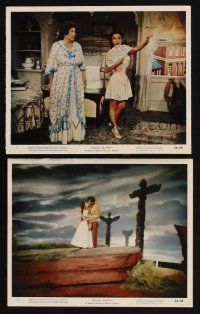 5g202 ROSE MARIE 2 color 8x10 stills '54 Fernando Lamas, Ann Blyth, Marjorie Main