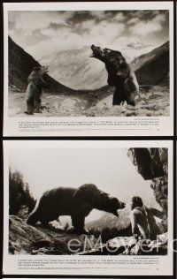 5g436 BEAR 5 8x10 stills '89 Jean-Jacques Annaud's L'Ours, great images of wild animals!