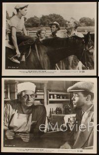 5g520 BOOTS MALONE 4 8x10 stills '51 William Holden with young horse jockey Johnny Stewart!