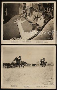 5g684 MAN WITHOUT A STAR 3 8x10 stills '55 cowboy Kirk Douglas, Jeanne Crain, King Vidor western!