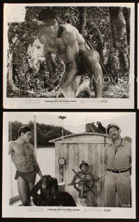 5g719 TARZAN & THE GREAT RIVER 3 8x10 stills '67 Mike Henry in the title role as King of the Jungle