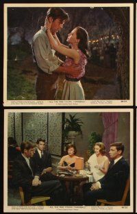 5g007 ALL THE FINE YOUNG CANNIBALS 9 color 8x10 stills '60 Robert Wagner, sexy Natalie Wood,Hamilton