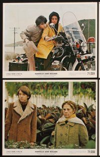 5g006 HAROLD & MAUDE 10 color Swiss 8x10 stills '71 Ruth Gordon & Bud Cort, Hal Ashby classic!
