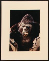 5g001 KING KONG LIVES 20 color 8x10 stills '86 cool images of the huge ape & cast members!