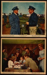 5g171 McCONNELL STORY 3 color 8x10 stills '55 Alan Ladd, June Allyson, James Whitmore