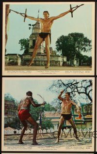 5g129 TARZAN'S THREE CHALLENGES 5 color 8x10 stills '63 Edgar Rice Burroughs, Jock Mahoney!