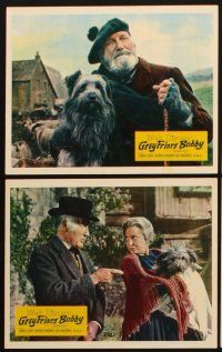 5g045 GREYFRIARS BOBBY 8 color English FOH LCs '61 Walt Disney, great images of cute Skye Terrier!