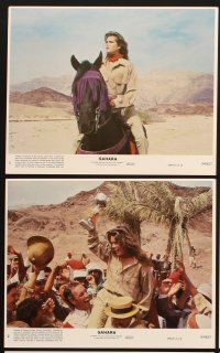 5g095 SAHARA 7 8x10 mini LCs '84 images of sexy Brooke Shields in the African desert!