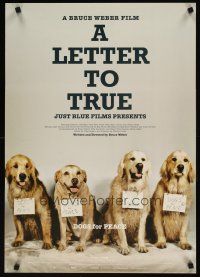 5k386 LETTER TO TRUE Japanese '05 Bruce Weber directed, great image of dogs for peace!