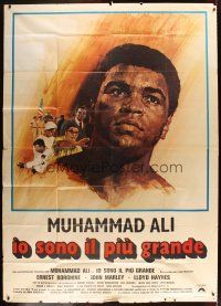 5s346 GREATEST Italian 2p '77 art of heavyweight boxing champ Muhammad Ali by Arnaldo Putzu!