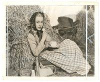 5x309 GLYNIS JOHNS 8x10 still '42 in her U.S. debut as a WWII Canadian farmgirl in The Invaders!