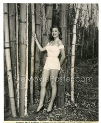 5x437 JUNE BLAIR 7.5x9.5 still '58 wearing sexy skimpy outfit in bamboo forest from Young Lions!