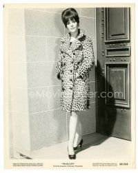 5x609 NATALIE WOOD 8x10 still '66 sexy full-length portrait in leopardskin coat from Penelope!