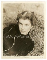 5x800 SUSAN STEPHEN 8x10 still '53 c/u of the beautiful actress laying in hay from Paratrooper!