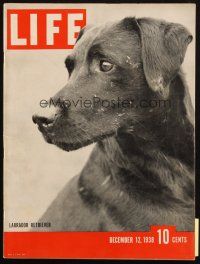 6b251 LIFE MAGAZINE magazine December 12, 1938 Bernard Shaw's Pygmalion, cover by Karger!