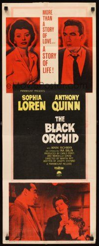5z456 BLACK ORCHID insert '59 Anthony Quinn, Sophia Loren, story of love directed by Martin Ritt!
