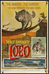 6c575 LEGEND OF LOBO 1sh '63 Walt Disney, King of the Wolfpack, cool artwork of wolf being hunted!