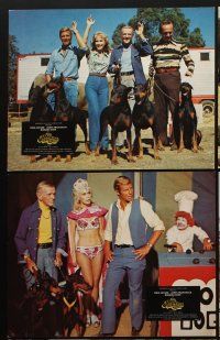 6d005 AMAZING DOBERMANS 12 LCs '76 Fred Astaire, sexy Barbara Eden, James Franciscus, cool dogs!