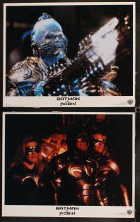 6d107 BATMAN & ROBIN 8 LCs '97 Clooney, O'Donnell, Schwarzenegger, Thurman, Silverstone