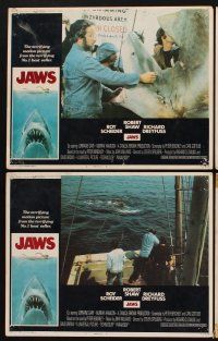 6d837 JAWS 7 LCs '75 Steven Spielberg, close up of worried Roy Scheider & Lorraine Gary!