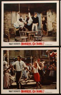 6d951 MONKEYS GO HOME 6 LCs '67 Disney, Maurice Chevalier, Yvette Mimieux & wacky apes!