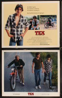 6d725 TEX 8 LCs '82 young Matt Dillon, Meg Tilly & Emilio Estevez, from S.E. Hinton's novel!