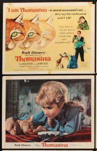 6d047 THREE LIVES OF THOMASINA 9 LCs '64 Walt Disney, great art of winking & smiling cat!