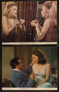 6d991 VALLEY OF THE DOLLS 3 color 11x14 stills '67 sexy Sharon Tate, from Jacqueline Susann's novel!