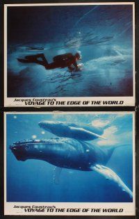 6d781 VOYAGE TO THE EDGE OF THE WORLD 8 LCs '76 Jacques Cousteau, cool arctic underwater expedition!
