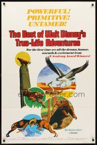6g105 BEST OF WALT DISNEY'S TRUE-LIFE ADVENTURES 1sh '75 powerful, primitive, cool animal art!
