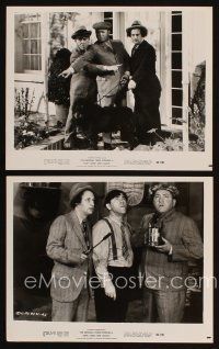 6f823 STOP LOOK & LAUGH 2 8x10 stills '60 Three Stooges, great images of Larry, Moe & Curly!
