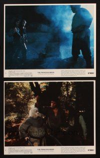 6f181 PRINCESS BRIDE 2 8x10 mini LCs '87 Cary Elwes, Andre the Giant, Mandy Patinkin, classic!