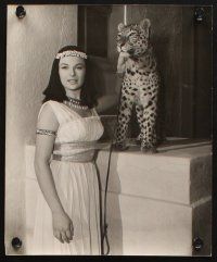 6f568 CHARLOTTE AUSTIN 4 8x10 stills '50s great portraits including with dogs & jungle cat!
